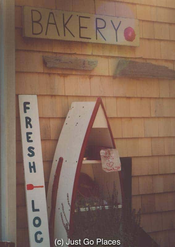 potluck pizza and the hippie spirit of Martha’s Vineyard