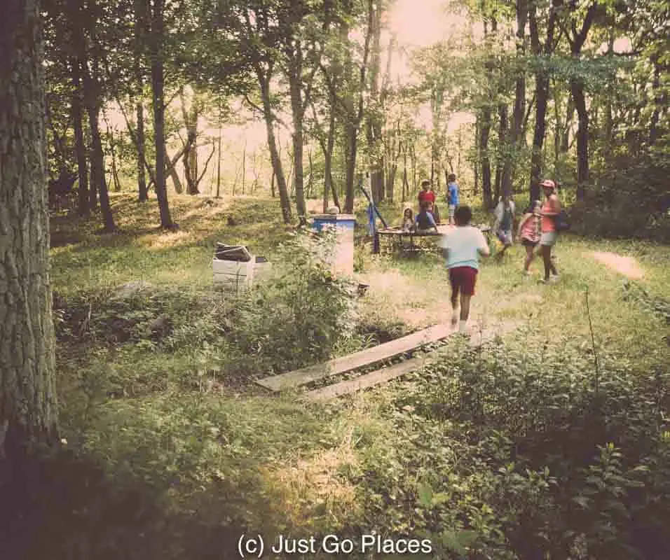 potluck pizza and the hippie spirit of Martha’s Vineyard