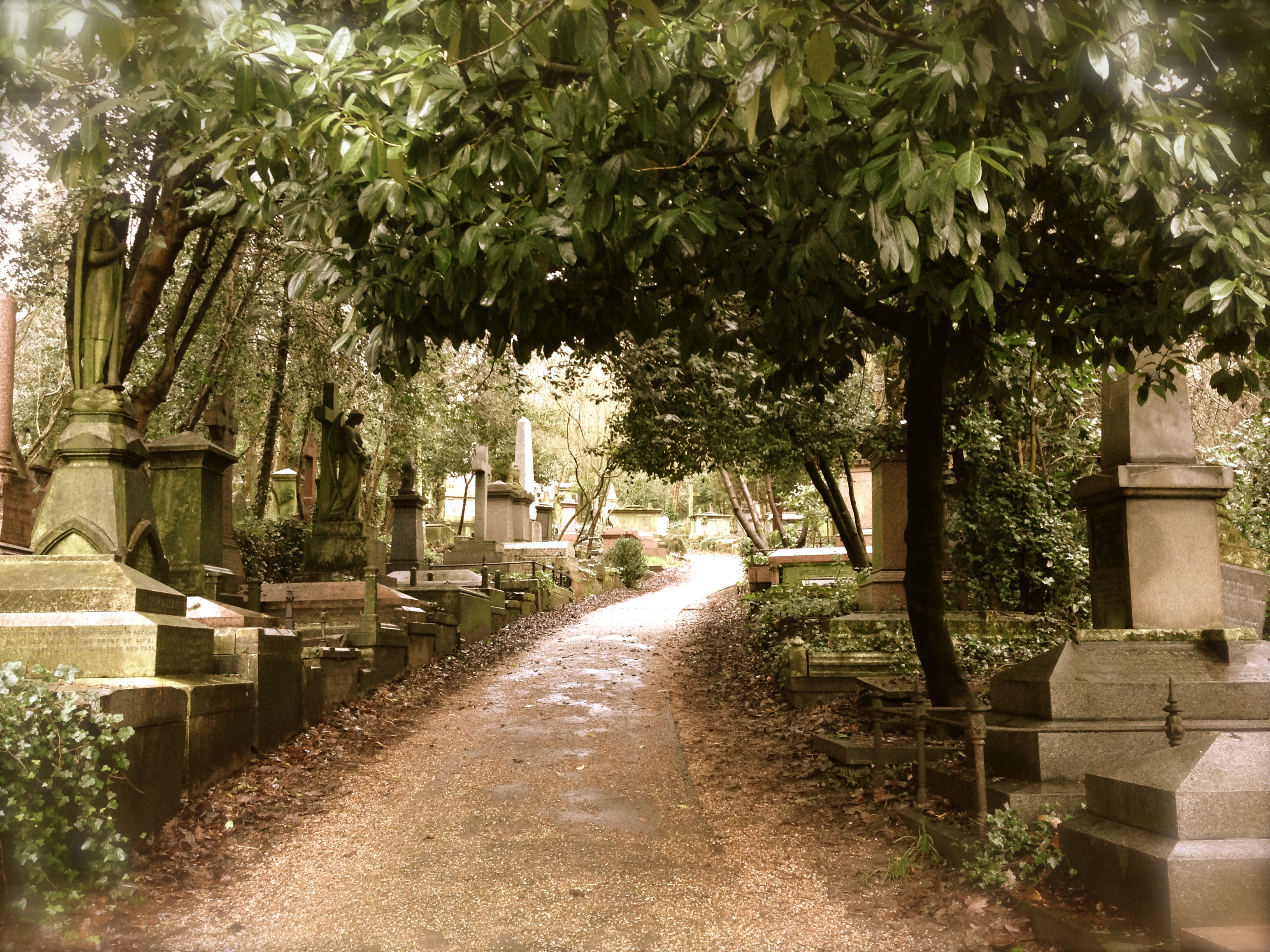 Highgate Cemetery in North London