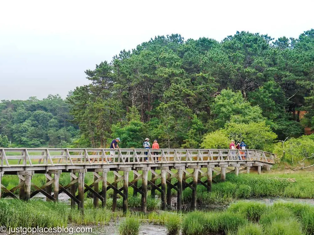 bridge over marshy pond with walkers