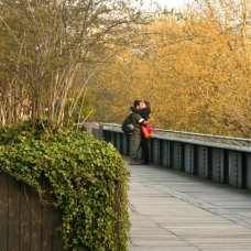 Promenade Plantee a converted railway garden in Paris