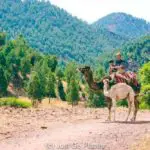 Why Rural Ourika Valley Morocco is a Great Escape from Urban Marrakesh
