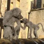 Tower of London monkeys