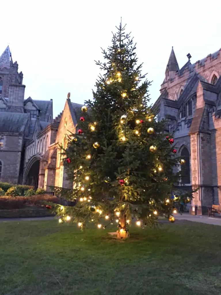 christmas tree in front of Christ Church Cathedral