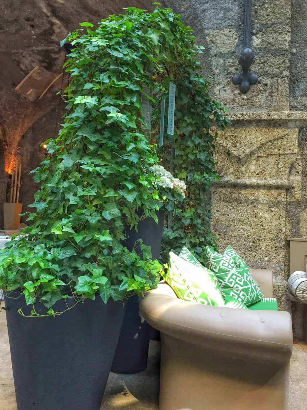 Visiting the oldest restaurant in europe
