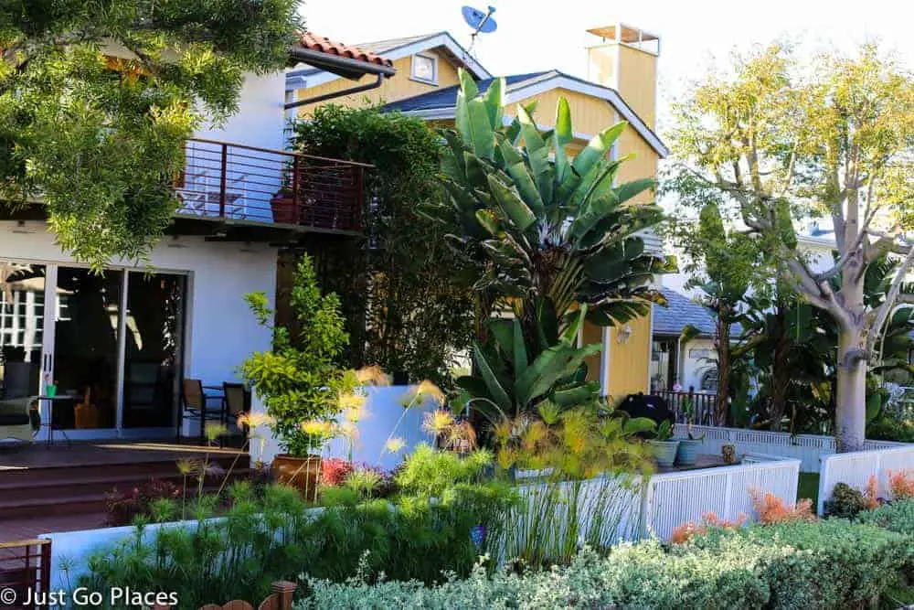 The Hidden Charms of the Canal Walkway at Venice Beach