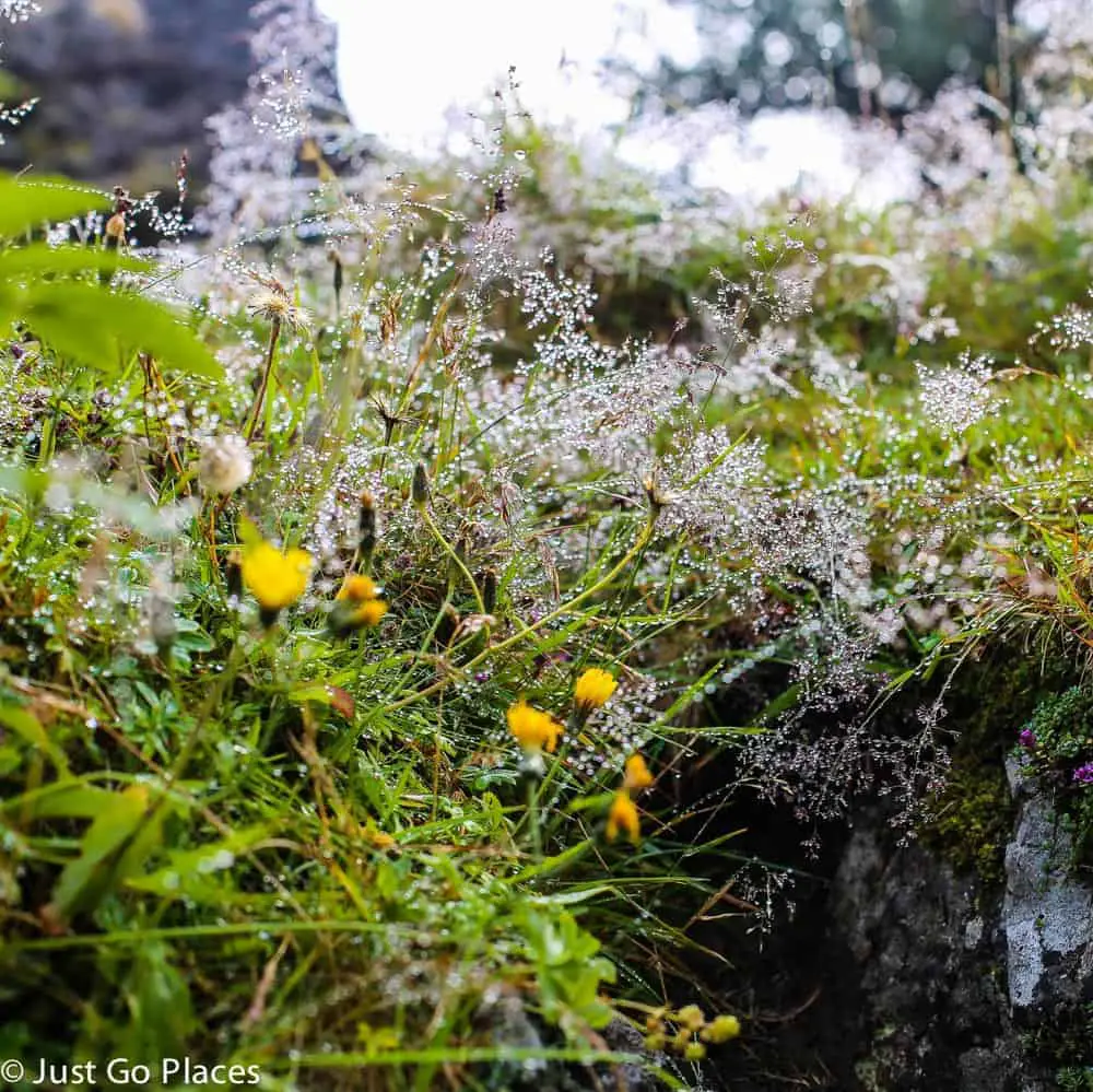 Elf Garden in Iceland