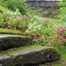 Elf Garden in Iceland