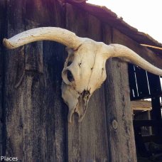 prairie Homestead in South Dakota