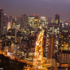 Tokyo Tower in Japan