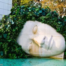 Hakone Open Air Museum