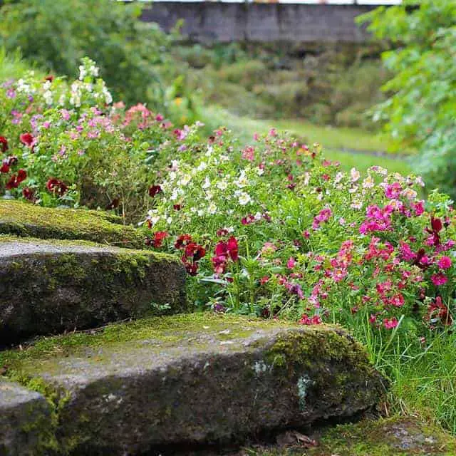 Iceland's fairy garden