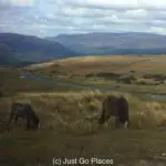 Soft Adventure in the Brecon Beacons National Park in Wales