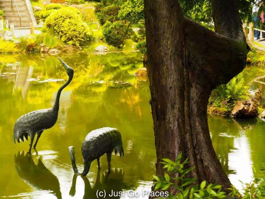 Japanese Tea Garden in Golden Gate Park