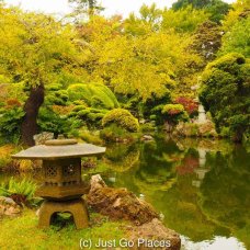 Japanese Tea Garden in Golden Gate Park