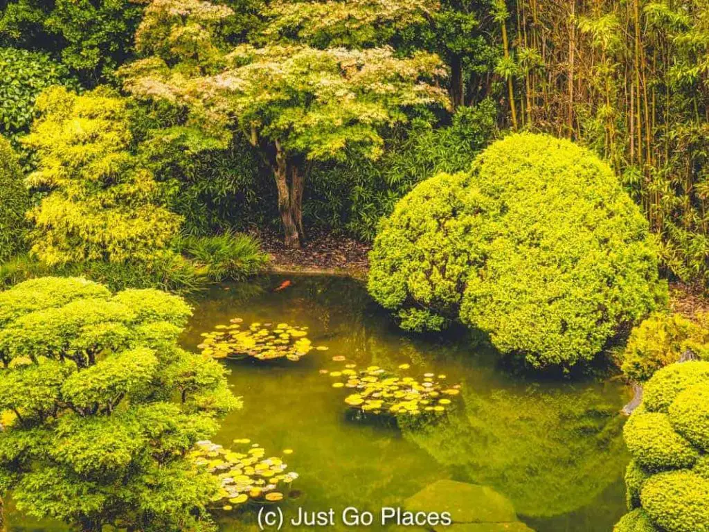 Japanese Tea Garden in Golden Gate Park