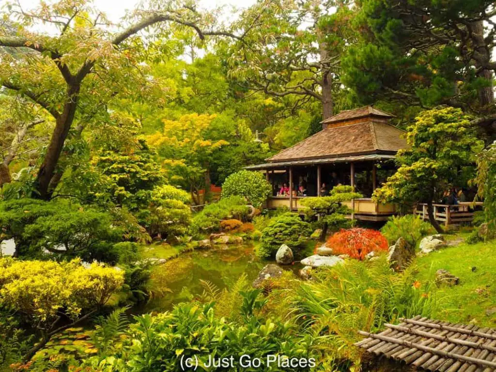 Japanese Tea Garden in Golden Gate Park