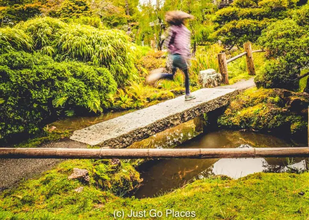 Japanese Tea Garden in Golden Gate Park