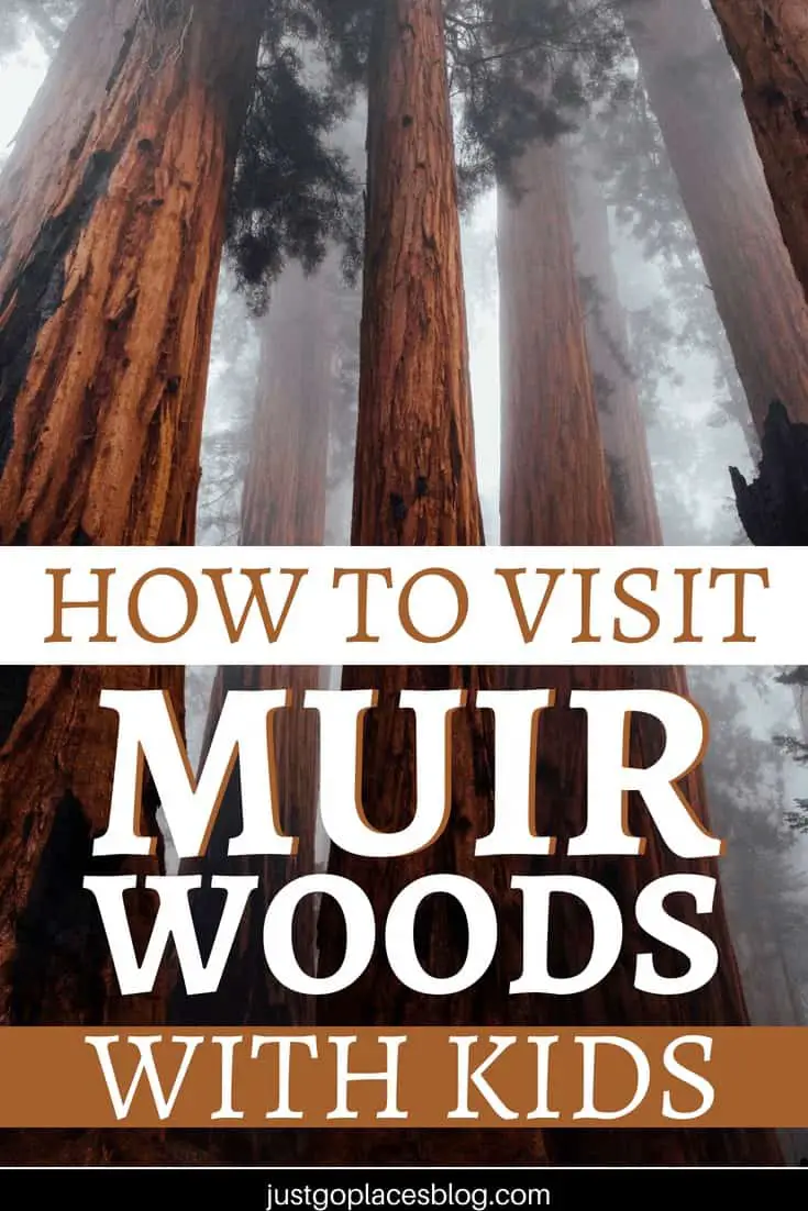 Muir Woods, California is a great place to visit, with or without kids. The trees are majestic, and the landscapes are so pretty! You can opt for a Muir Woods day trip from San Francisco or spend the weekend in the area. Read on for tips & tricks for visiting the California Redwoods with kids. #california #redwoods #muirwoods #kidfriendly