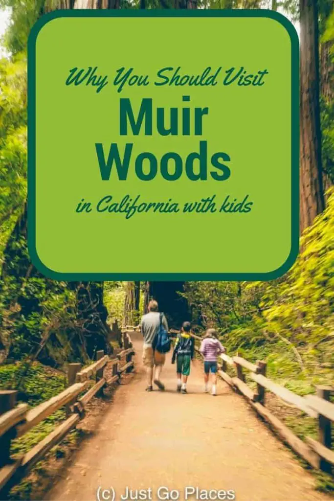 Visiting the California Redwoods at Muir Woods with kids