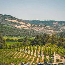 Visiting Castello di Amorosa, A Family Friendly Vineyard in Napa Valley in California