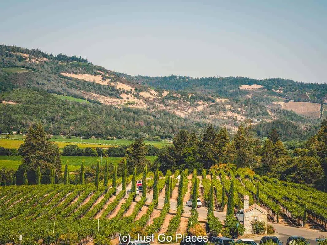 Family Friendly Vineyard In Napa