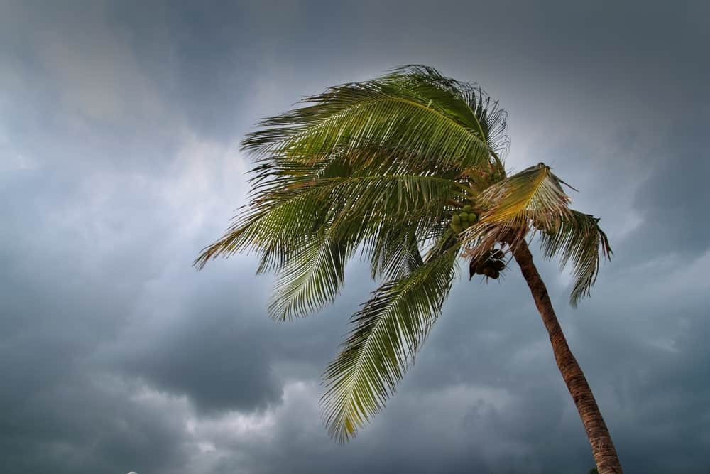 when location independent lifestyle means cyclones in the south pacific