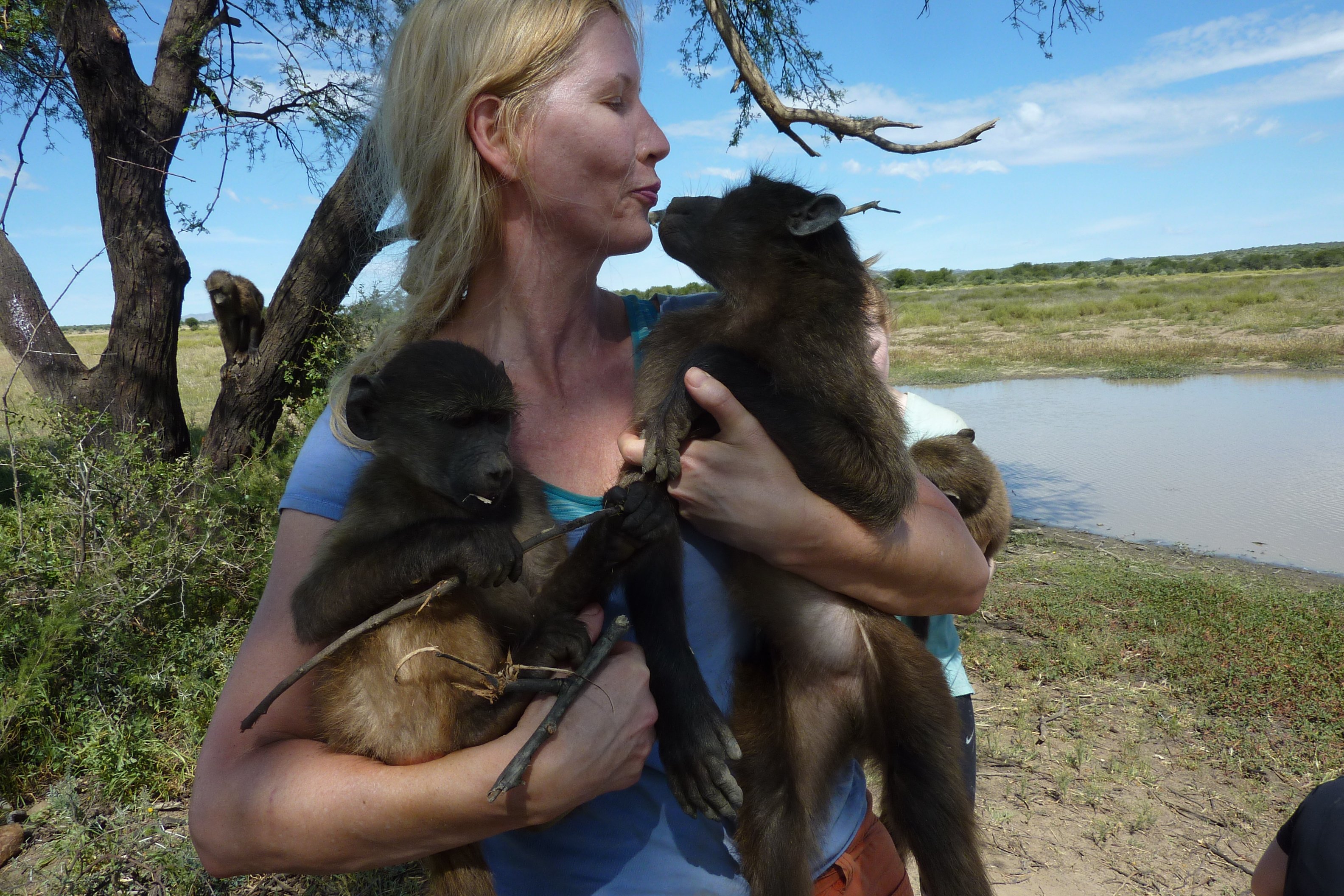 How to choose a wild animal sanctuary when volunteering in Africa