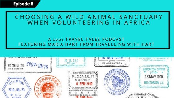How to choose a wild animal sanctuary when volunteering in Africa