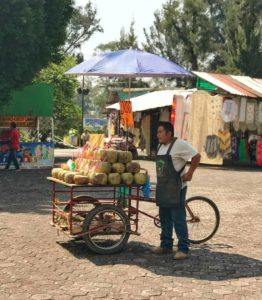 Why You Should Visit The Aztec Floating Gardens at Parque Xochimilco in Mexico City
