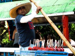 Why You Should Visit The Aztec Floating Gardens at Parque Xochimilco in Mexico City