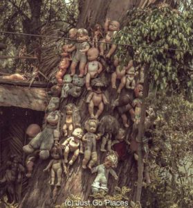 Why You Should Visit The Aztec Floating Gardens at Parque Xochimilco in Mexico City