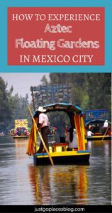 Why You Should Visit The Aztec Floating Gardens at Parque Xochimilco in Mexico City