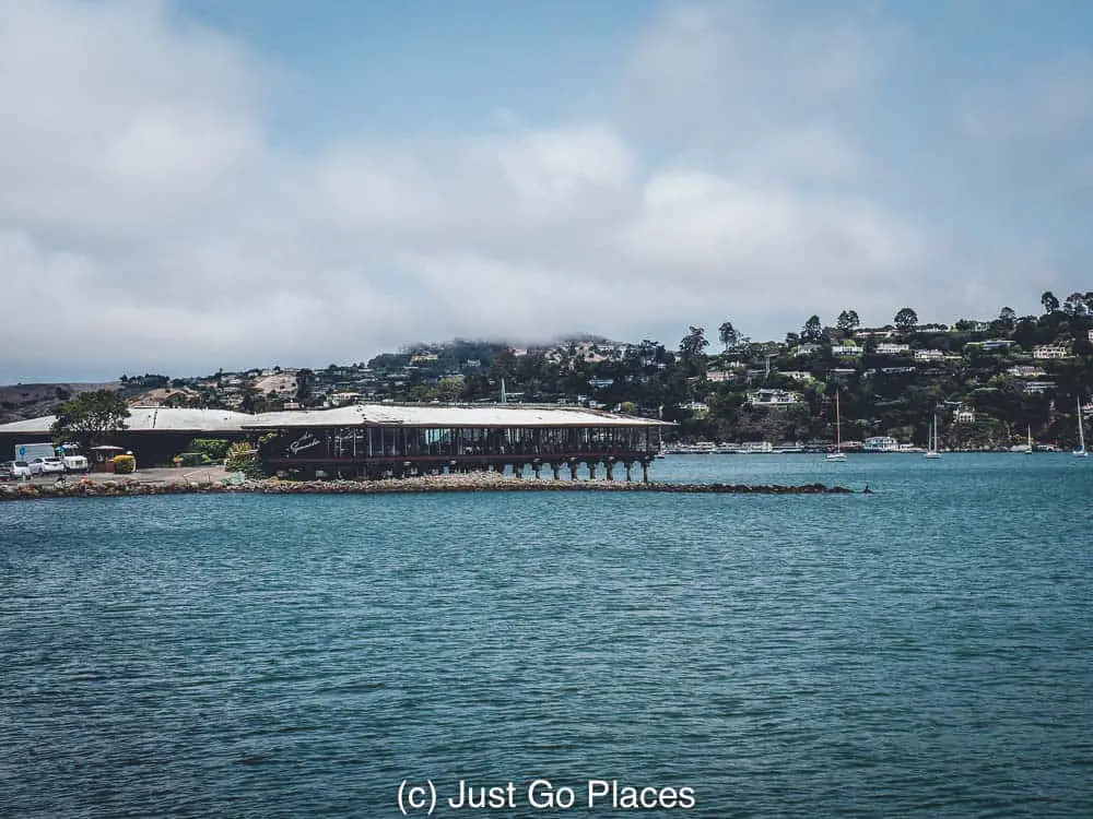 Fun Things To Do in Sausalito California During a Quick Visit | What to do in Sausalito | Sausalito Things to Do | Where to eat in Sausalito