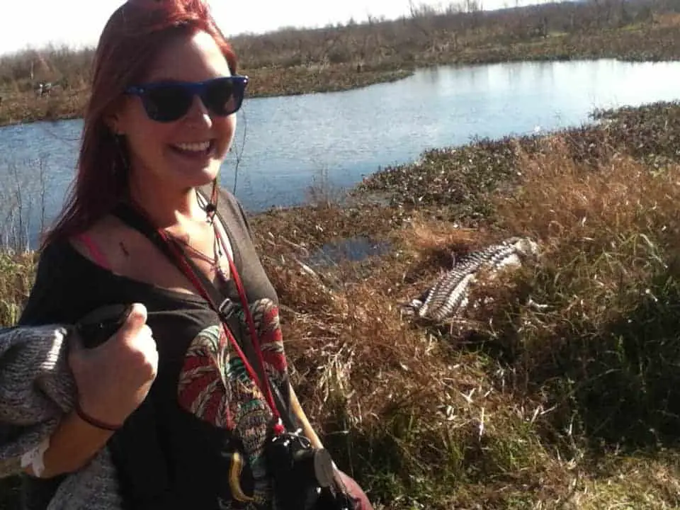 Up close and personal with Alligators in Gainesville, Florida