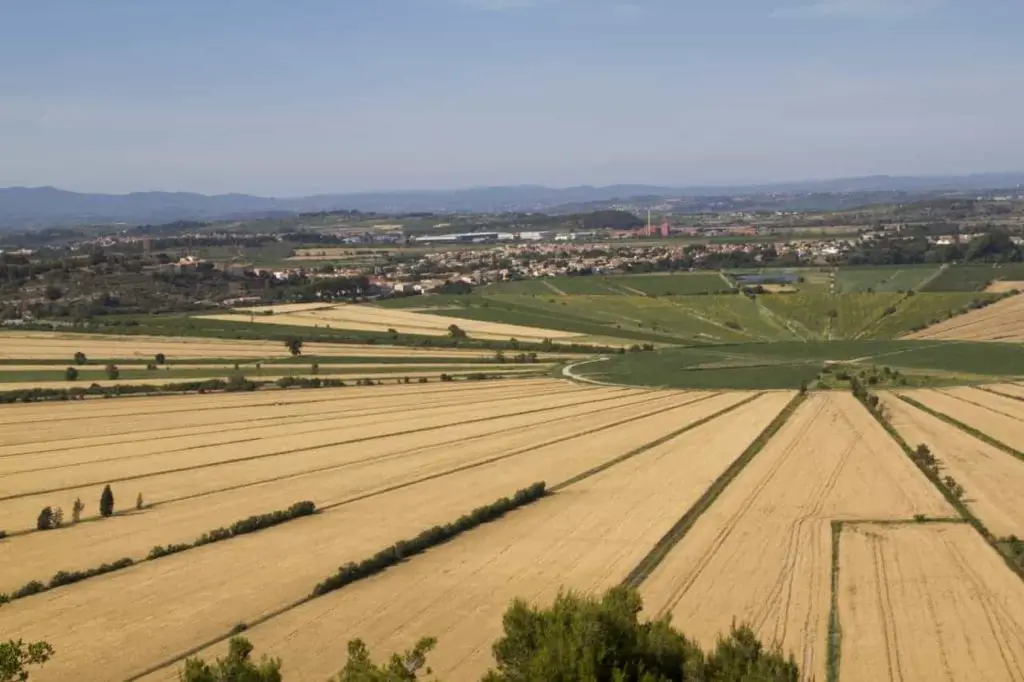 Montady in the Languedoc-Rousillon