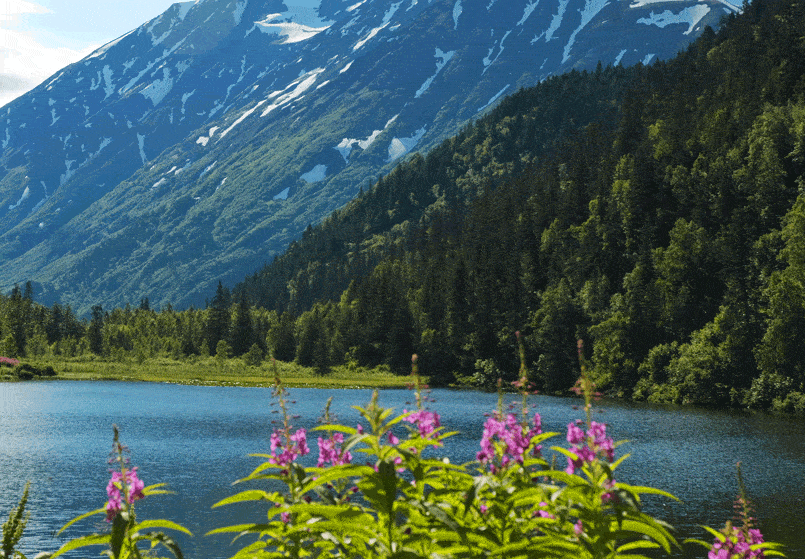 Kenai Alaska landscape