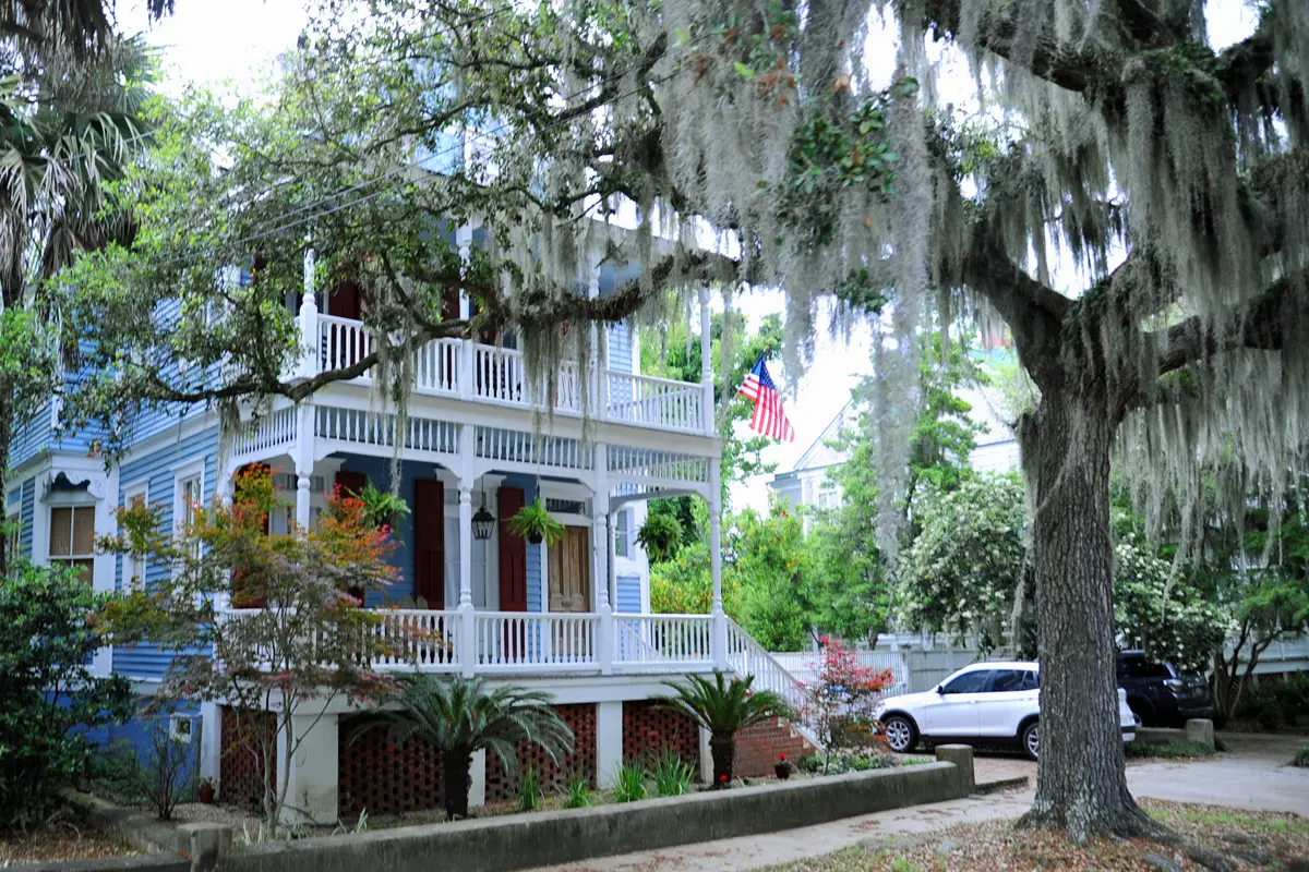 Spanish moss covered tree and a white pillared Southern Mansion