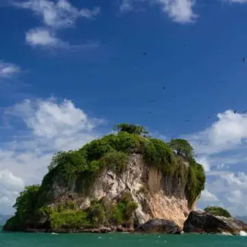 Why visit Los Haitises National Park Dominican Republic | Los Haitises National Park Tours | Los Haitises National Park Hotels | Parque Nacional Los Haitises | #DominicanRepublic #Caribbean