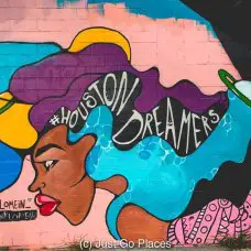 Houston Dreamers by Pink Lo Mein, Downtown Houston wall art