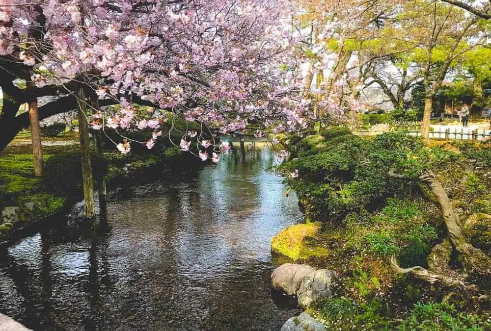 A Complete 2 Week Japan Itinerary for Travellers Seeking Affordable Luxury (Including With Kids)