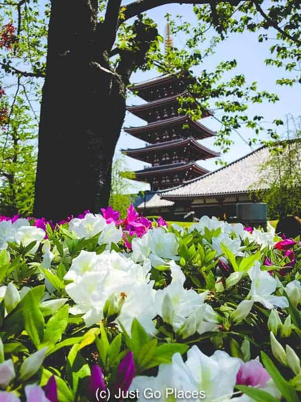 The 5 tier pagoda seen from the gardens of Sensoji in Tokyo