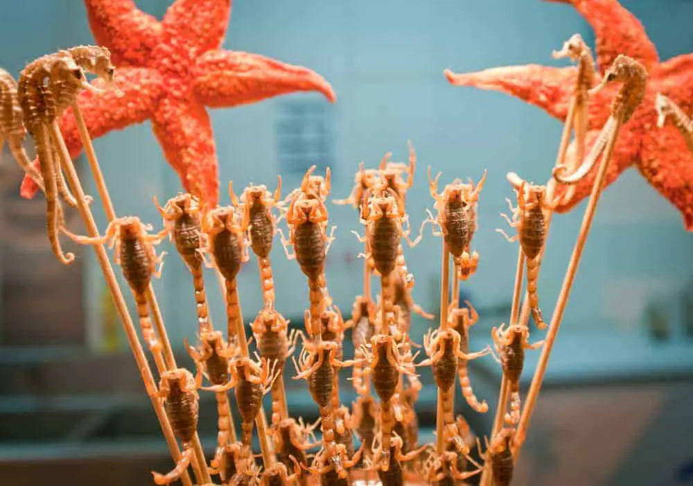 Fried scorpions on a stick are a street snack