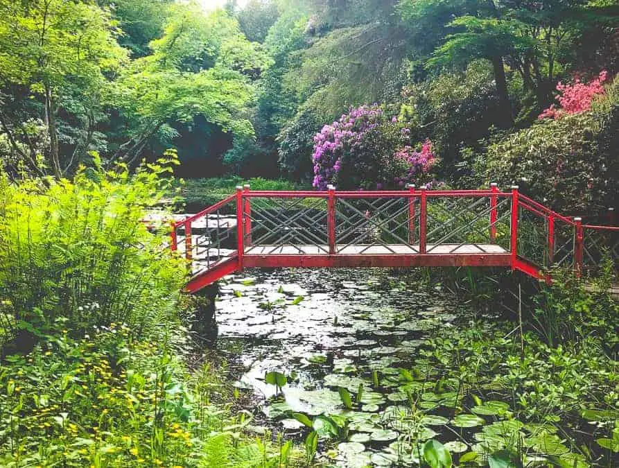 Portmeirion Village: The Italianate Resort Not To Miss in Portmeirion Wales