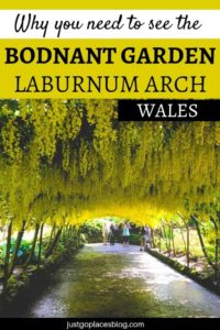 Why Bodnant Gardens is a Must-See National Trust Garden in Wales