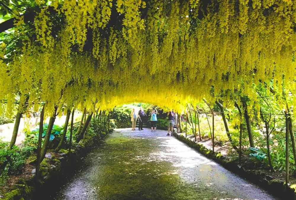 Why Bodnant Gardens is a Must-See National Trust Garden in Wales