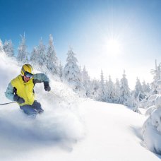 You get some of the best American ski resorts in the Northeast.