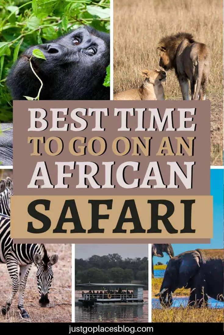 safari times to go