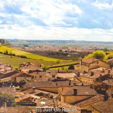 Some of the best St Emilion wine is grown in the Saint Emilion vineyards closest to the town.