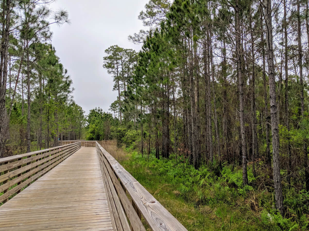 Gulf State Park at Orange Beach Alabama